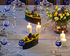 Adlersaal